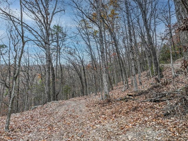 TBD Highway 23, Eureka Springs, AR 72631