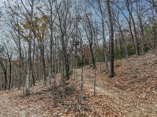 TBD Highway 23, Eureka Springs, AR 72631