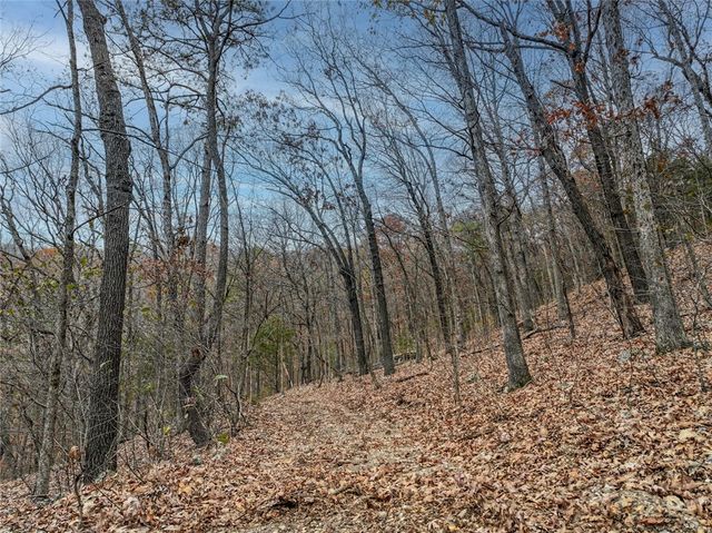 TBD Highway 23, Eureka Springs, AR 72631