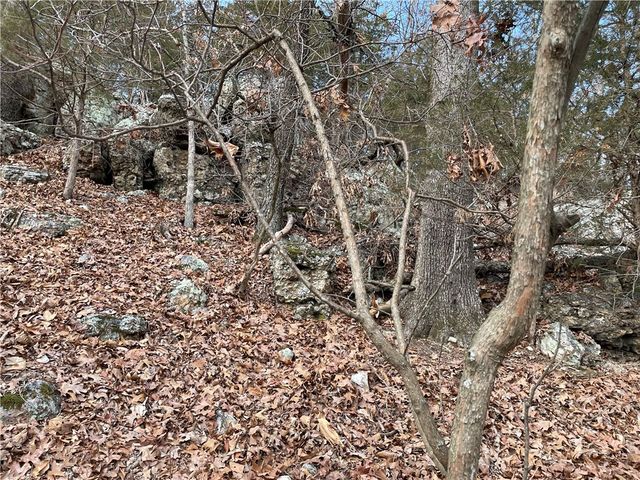 TBD Highway 23, Eureka Springs, AR 72631