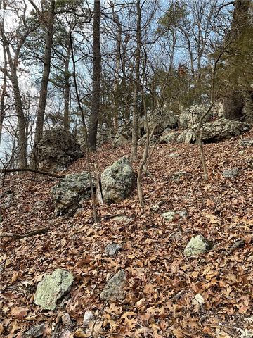 TBD Highway 23, Eureka Springs, AR 72631