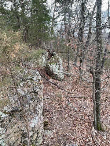 TBD Highway 23, Eureka Springs, AR 72631