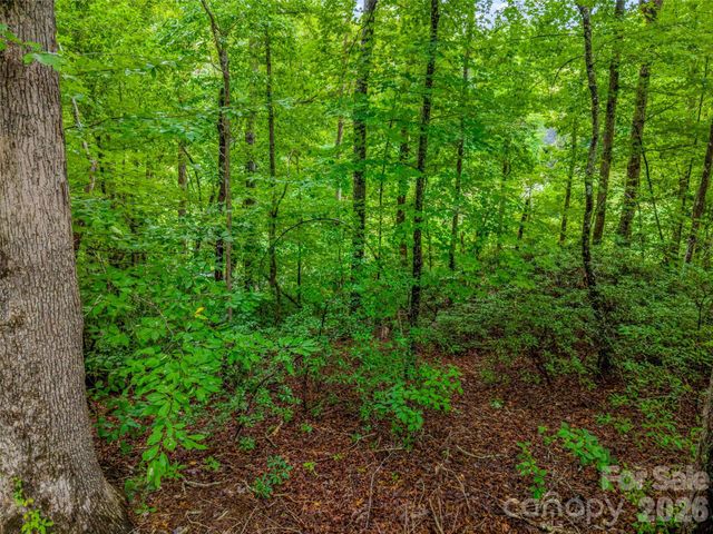 00 Huntington Road, Lake Lure, NC 28746