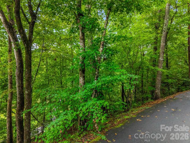 00 Huntington Road, Lake Lure, NC 28746