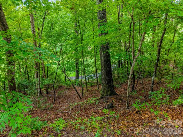 00 Huntington Road, Lake Lure, NC 28746
