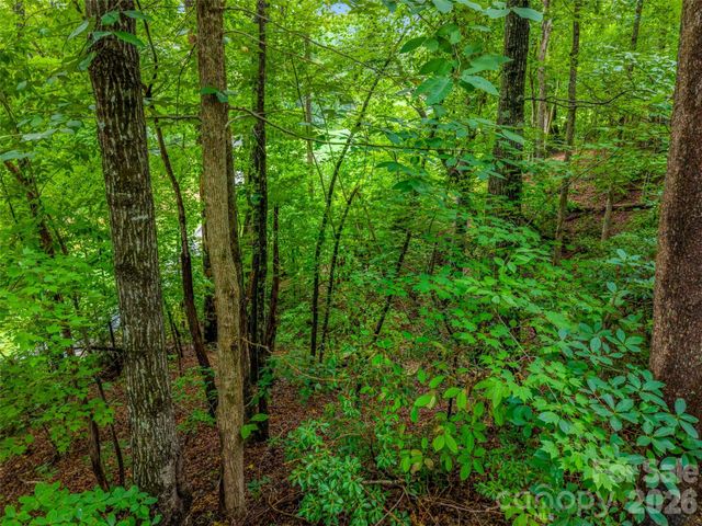 00 Huntington Road, Lake Lure, NC 28746