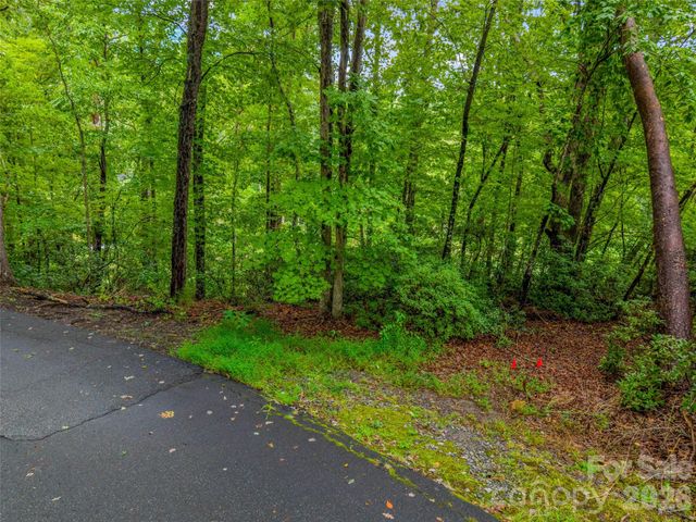 00 Huntington Road, Lake Lure, NC 28746