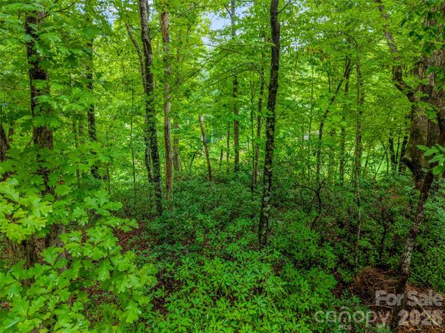00 Huntington Road, Lake Lure, NC 28746