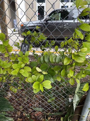 8101 SW 72 AV 214W, Miami, FL 33143