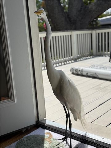 519 NORFOLK STREET, Dunedin, FL 34698