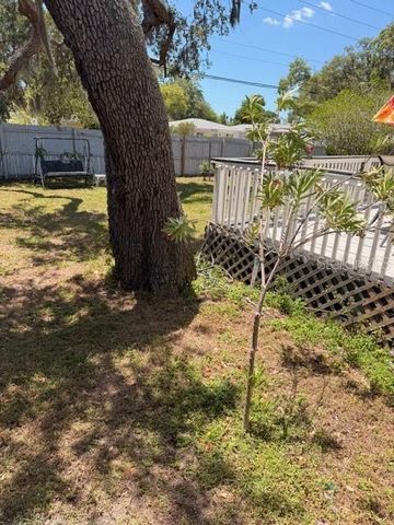 519 NORFOLK STREET, Dunedin, FL 34698