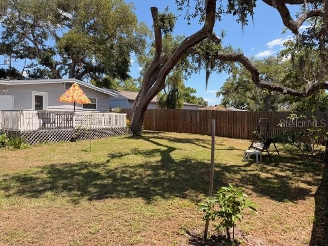 519 NORFOLK STREET, Dunedin, FL 34698