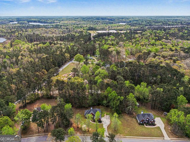 1041 Olive Drive, Hampton, GA 30228