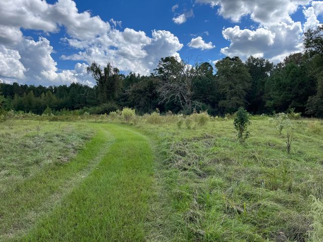 7319 LA-117, Leesville, LA 71446