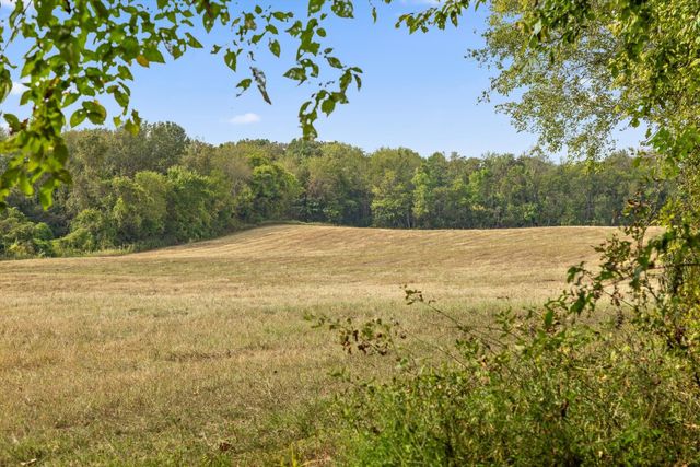 12 Sturgeon Creek Road, Cedar Hill, TN 37032