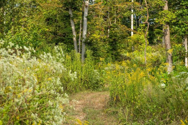 12 Sturgeon Creek Road, Cedar Hill, TN 37032