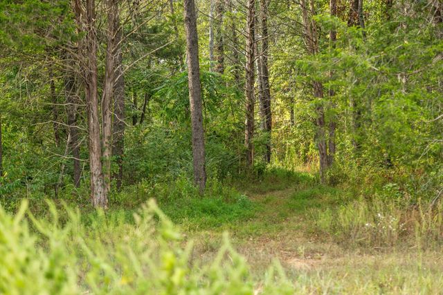 12 Sturgeon Creek Road, Cedar Hill, TN 37032