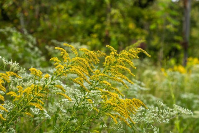 12 Sturgeon Creek Road, Cedar Hill, TN 37032