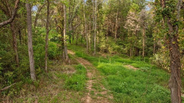 12 Sturgeon Creek Road, Cedar Hill, TN 37032