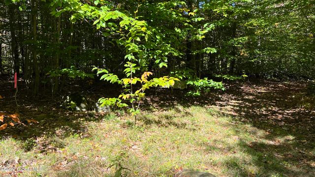 551 Maple Street, Berlin, NY 12138