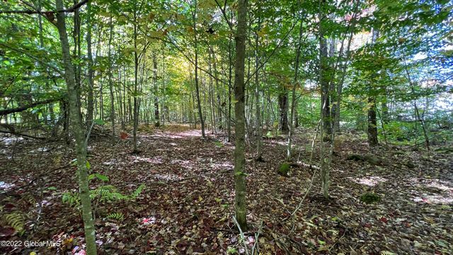 551 Maple Street, Berlin, NY 12138