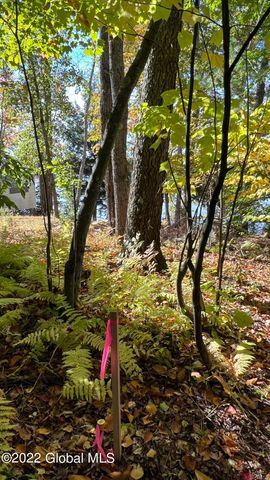 551 Maple Street, Berlin, NY 12138