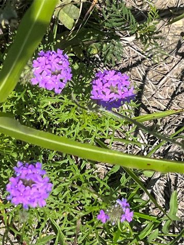 Tbd HCR 1153, Blum, TX 76627