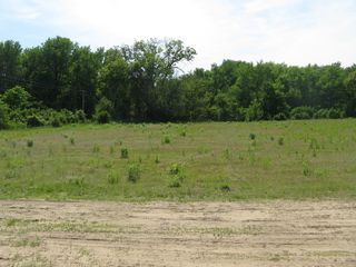 lot 1 S Irish Lane, Custer Park, IL 60481