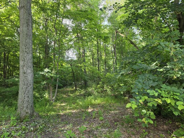 17647 Summerhill Lane, New Buffalo, MI 49117