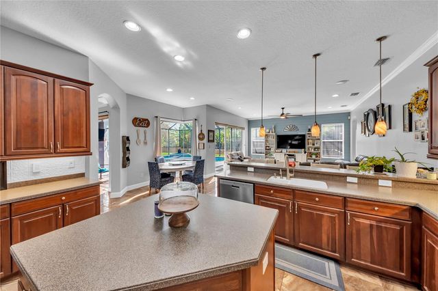 1031 EMERALD HILL WAY, Valrico, FL 33594