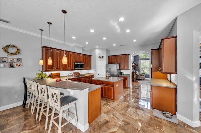 1031 EMERALD HILL WAY, Valrico, FL 33594