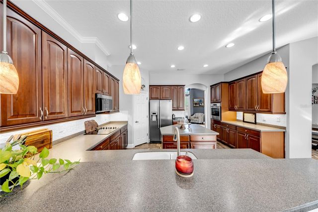 1031 EMERALD HILL WAY, Valrico, FL 33594