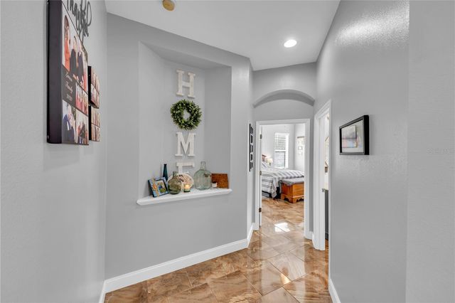 1031 EMERALD HILL WAY, Valrico, FL 33594