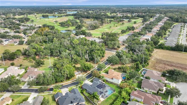 1031 EMERALD HILL WAY, Valrico, FL 33594