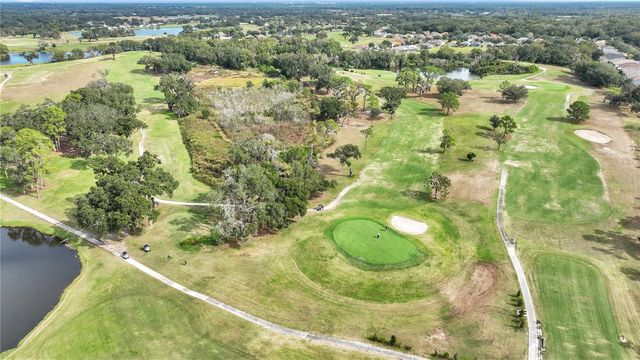 1031 EMERALD HILL WAY, Valrico, FL 33594