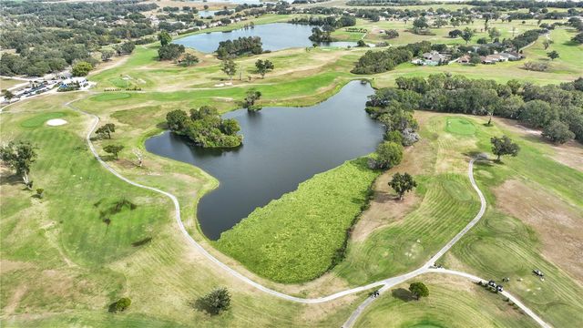 1031 EMERALD HILL WAY, Valrico, FL 33594