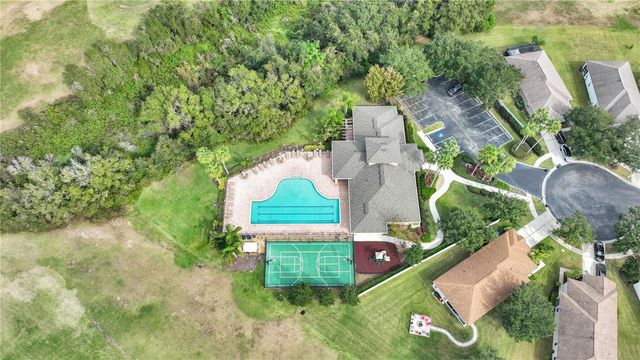 1031 EMERALD HILL WAY, Valrico, FL 33594