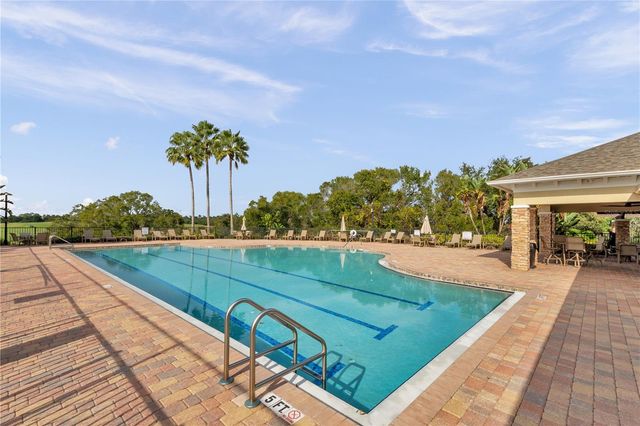 1031 EMERALD HILL WAY, Valrico, FL 33594