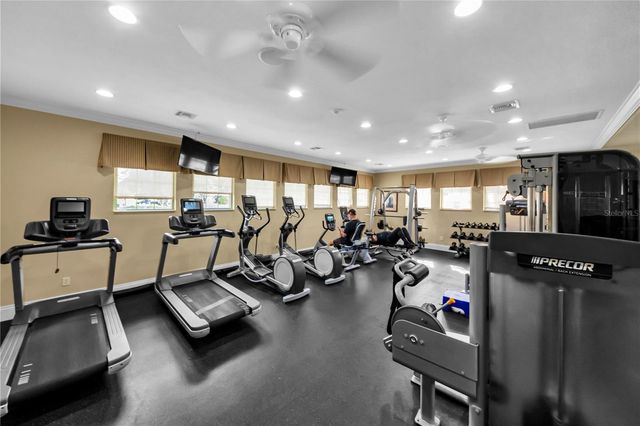 1031 EMERALD HILL WAY, Valrico, FL 33594