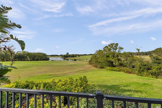 1031 EMERALD HILL WAY, Valrico, FL 33594