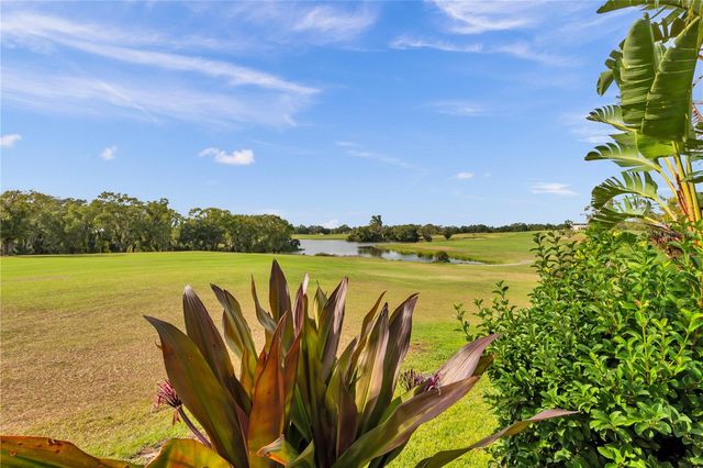 1031 EMERALD HILL WAY, Valrico, FL 33594