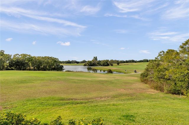 1031 EMERALD HILL WAY, Valrico, FL 33594