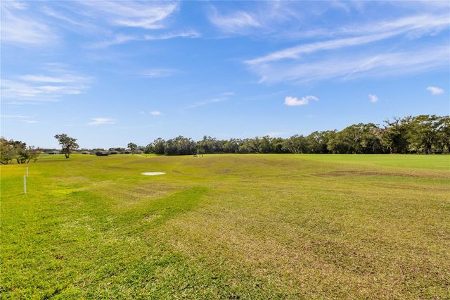 1031 EMERALD HILL WAY, Valrico, FL 33594