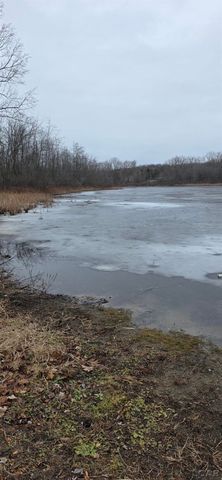 1400 Lakeview Drive, Tipton, MI 49287