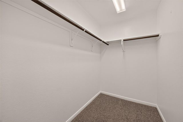 12038 Summertime Drive, Willis, TX 77318
