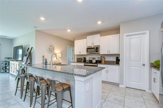 17917 CLOUDLESS BLISS DRIVE, Lutz, FL 33558