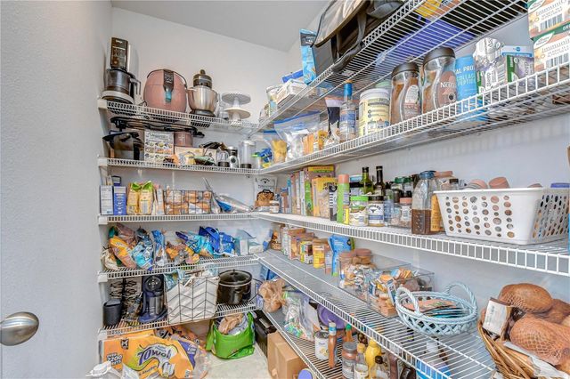 17917 CLOUDLESS BLISS DRIVE, Lutz, FL 33558