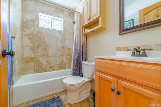 182 Rachaels Place, Alma, CO 80420