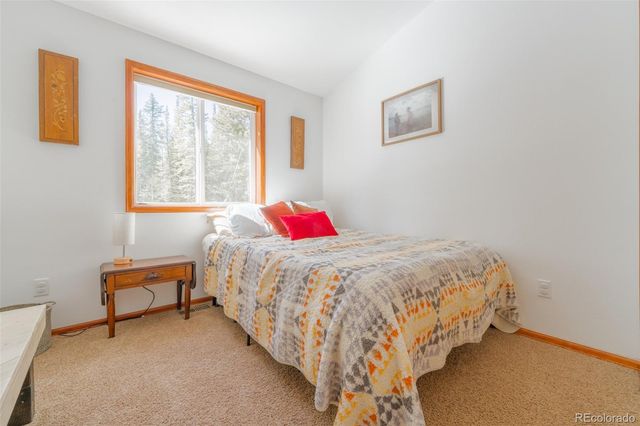 182 Rachaels Place, Alma, CO 80420