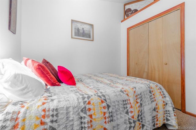 182 Rachaels Place, Alma, CO 80420